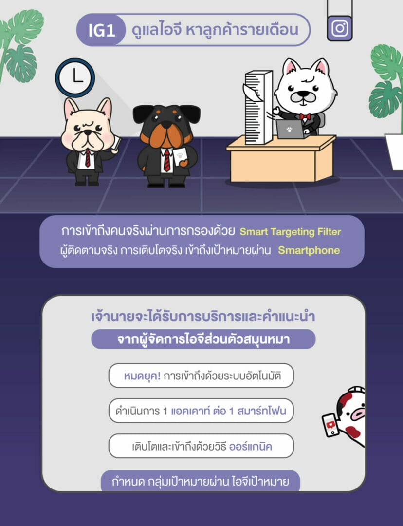 เจาะกลุ่ม instagram สายเทา Puppyvisor